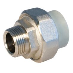 Холендър мъжки