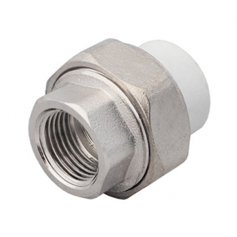 Холендър женски Холендър женски